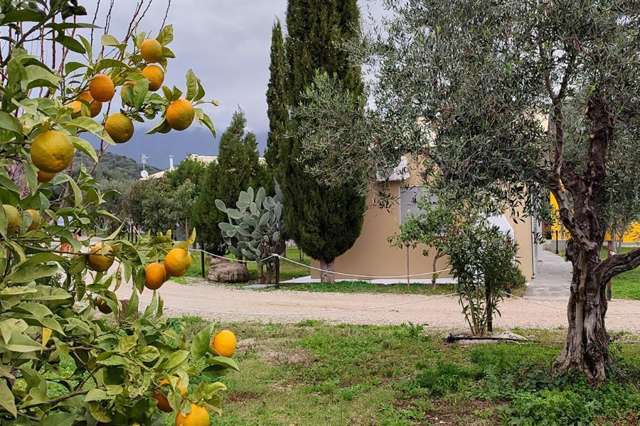 Socrates Organic Village - Wild Olive Missolonghi Exterior photo